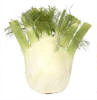 Fennel