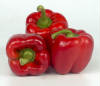 Red Pepper